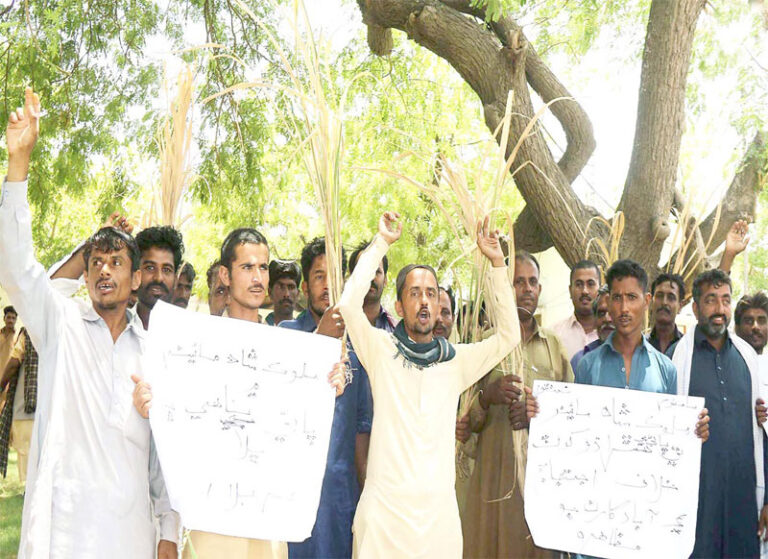 حیدرآباد ،کسان تنخواہوں کی عدم ادائیگی پرچیف انجینئرکے دفتر کے سامنے احتجاج کررہے ہیں