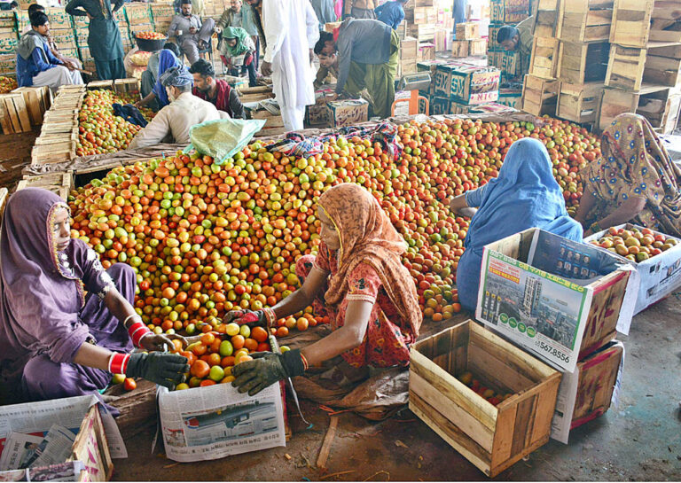 حیدرآباد: سبزی منڈی میں مزدور خواتین لکڑی کے ڈبوں میں ٹماٹر پیک کرنے میں مصروف ہیں